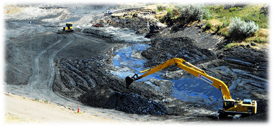 Environmental remediation